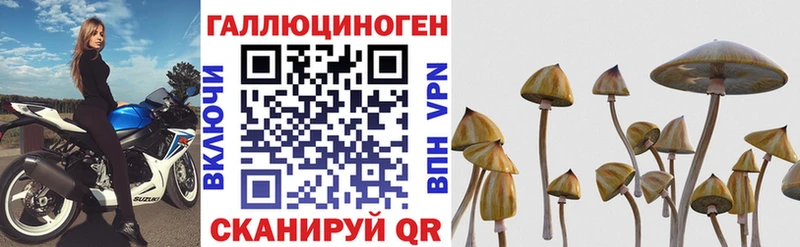 Галлюциногенные грибы Magic Shrooms  наркошоп  Оленегорск 