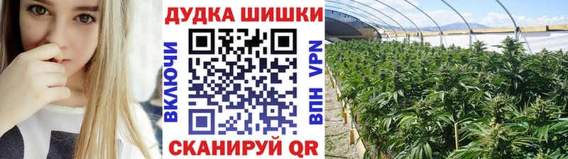 Шишки марихуана конопля  blacksprut   Оленегорск 